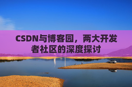 CSDN与博客园，两大开发者社区的深度探讨