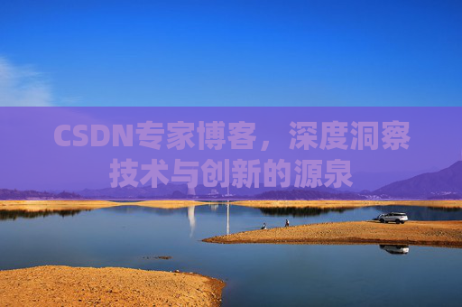 CSDN专家博客，深度洞察技术与创新的源泉